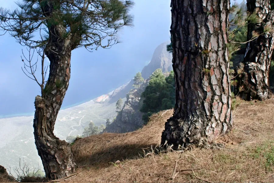 El Pineda del hierro
